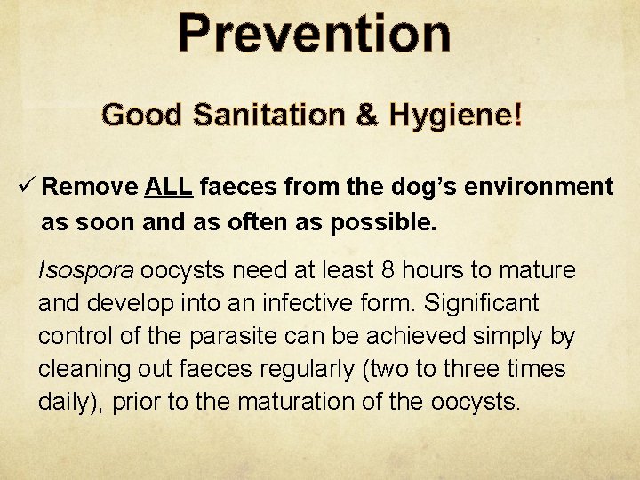 Prevention Good Sanitation & Hygiene! ü Remove ALL faeces from the dog’s environment as