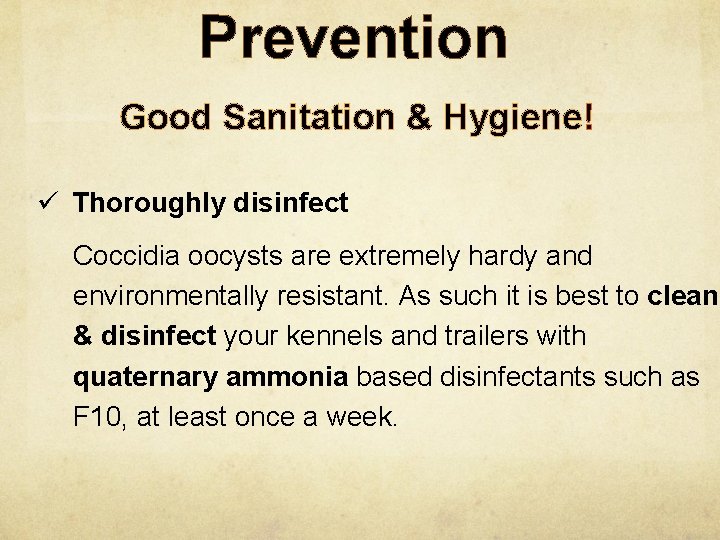 Prevention Good Sanitation & Hygiene! ü Thoroughly disinfect Coccidia oocysts are extremely hardy and