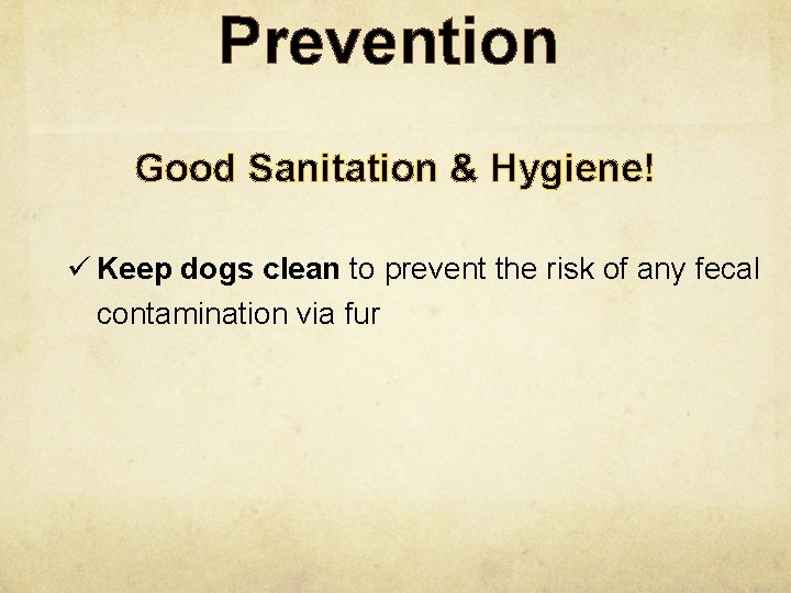 Prevention Good Sanitation & Hygiene! ü Keep dogs clean to prevent the risk of
