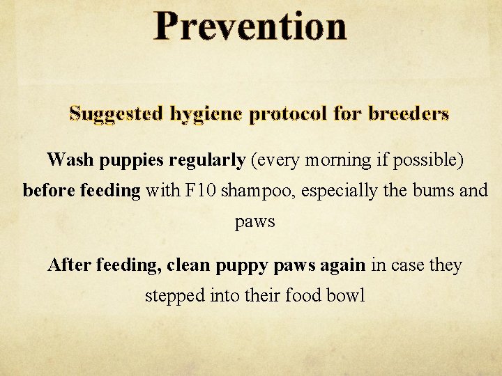 Prevention Suggested hygiene protocol for breeders Wash puppies regularly (every morning if possible) before
