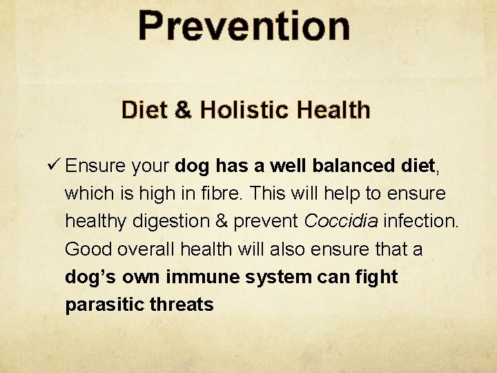 Prevention Diet & Holistic Health ü Ensure your dog has a well balanced diet,