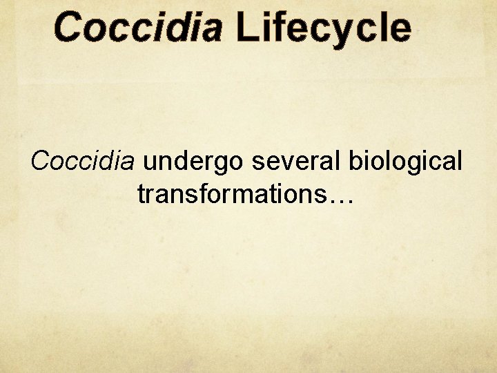 Coccidia Lifecycle Coccidia undergo several biological transformations… 