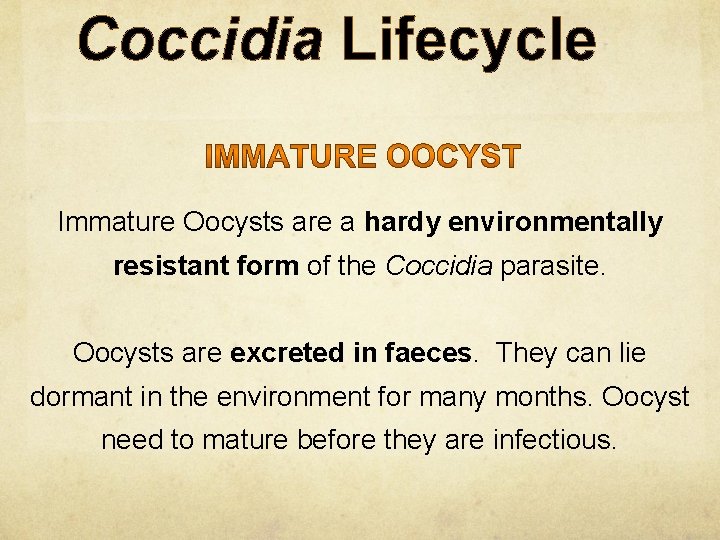 Coccidia Lifecycle Immature Oocysts are a hardy environmentally resistant form of the Coccidia parasite.