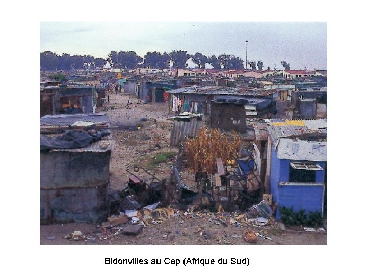 Bidonvilles au Cap (Afrique du Sud) 