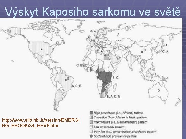 Výskyt Kaposiho sarkomu ve světě http: //www. elib. hbi. ir/persian/EMERGI NG_EBOOK/34_HHV 8. htm 