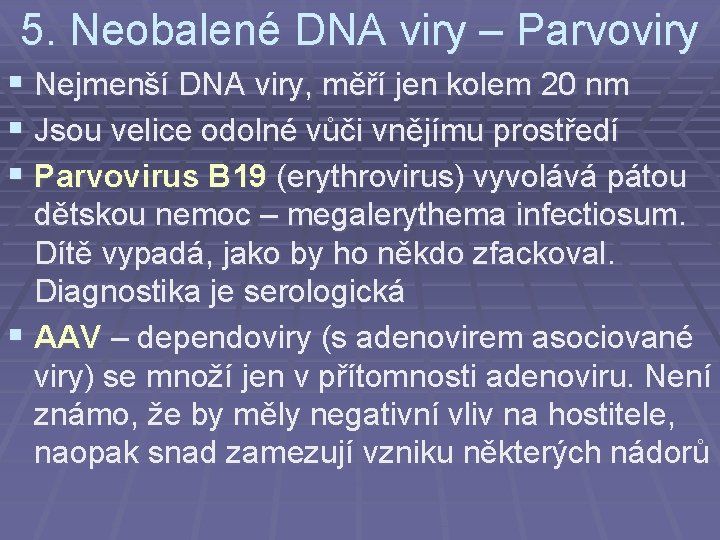 5. Neobalené DNA viry – Parvoviry § Nejmenší DNA viry, měří jen kolem 20