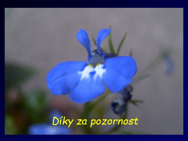 Díky za pozornost Díky za pozornost