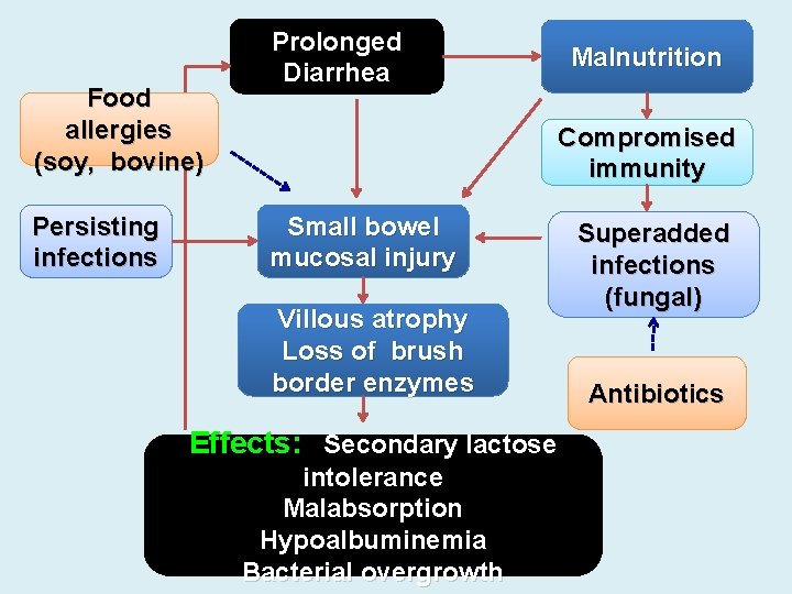 Food allergies (soy, bovine) Persisting infections Prolonged Diarrhea Malnutrition Compromised immunity Small bowel mucosal