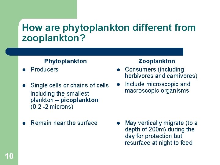 How are phytoplankton different from zooplankton? l 10 Phytoplankton Producers l l Single cells