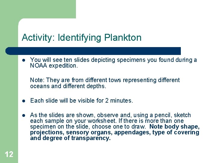 Activity: Identifying Plankton l You will see ten slides depicting specimens you found during