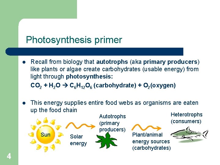 Photosynthesis primer l Recall from biology that autotrophs (aka primary producers) like plants or