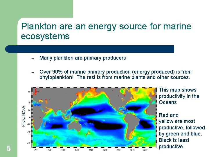 Plankton are an energy source for marine ecosystems – Many plankton are primary producers