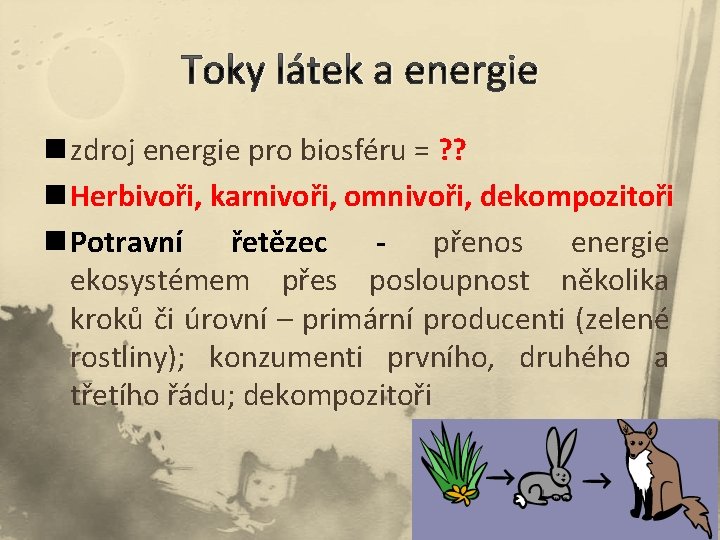 Toky látek a energie n zdroj energie pro biosféru = ? ? n Herbivoři,