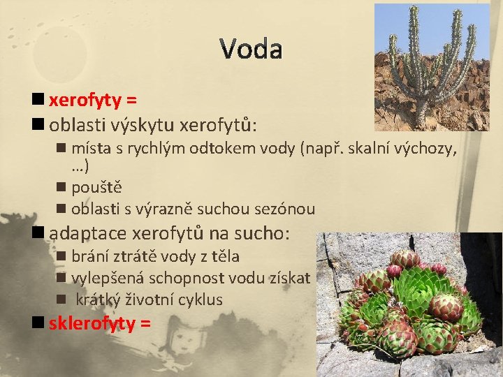 Voda n xerofyty = n oblasti výskytu xerofytů: n místa s rychlým odtokem vody