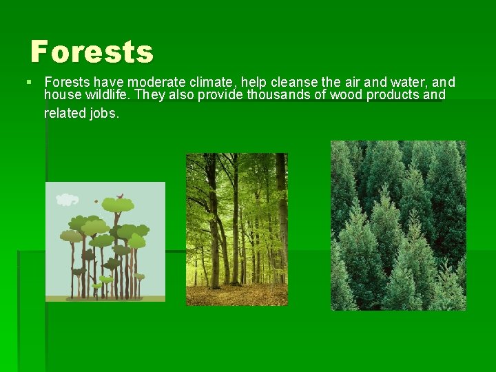 Forests § Forests have moderate climate, help cleanse the air and water, and house