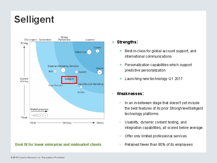 Selligent + Strengths: + Best-in-class for global account support, and international communications + Personalization