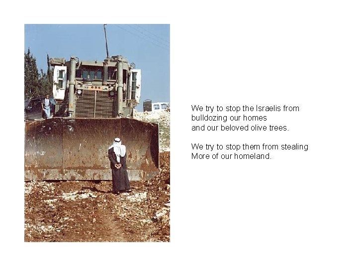 We try to stop the Israelis from bulldozing our homes and our beloved olive