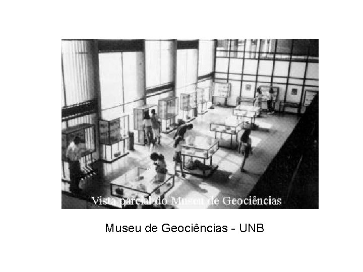 Museu de Geociências - UNB 