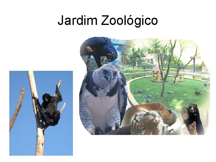 Jardim Zoológico 