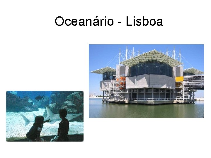 Oceanário - Lisboa 