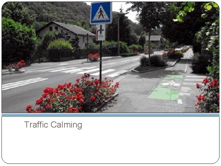 Traffic Calming 