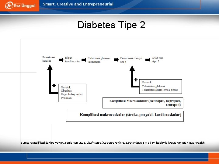 Diabetes Tipe 2 Sumber: Modifikasi dari Harvey RA, Ferrier DR. 2011. Lippincott’s illustrated reviews: