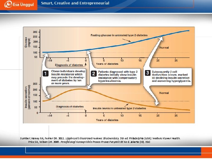 Sumber: Harvey RA, Ferrier DR. 2011. Lippincott’s illustrated reviews: Biochemistry. 5 th ed. Philadelphia