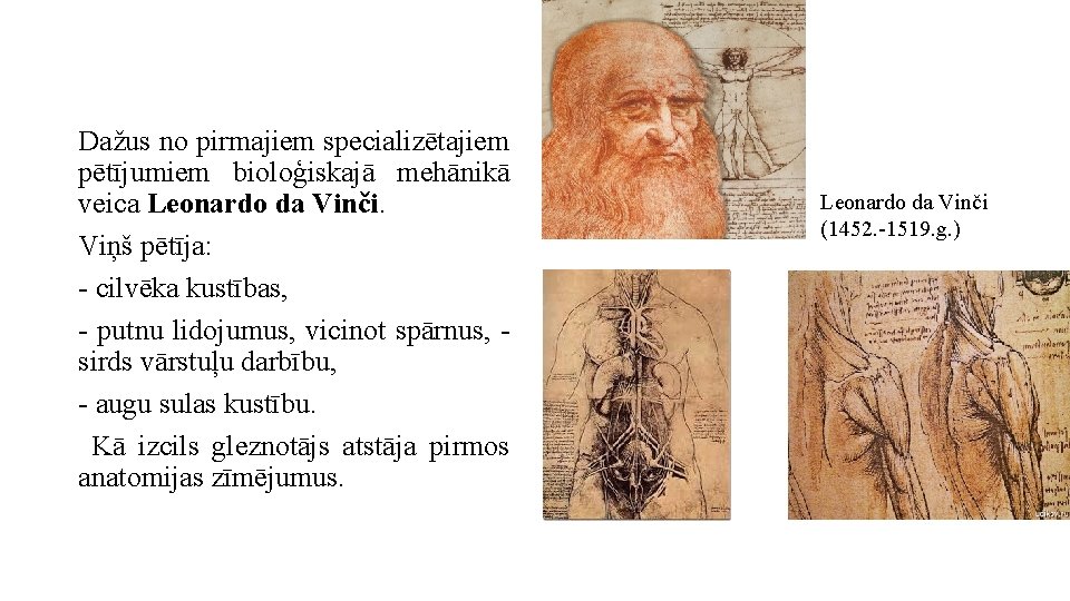 Dažus no pirmajiem specializētajiem pētījumiem bioloģiskajā mehānikā veica Leonardo da Vinči. Viņš pētīja: -