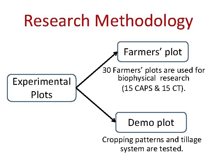 Research Methodology Farmers’ plot Experimental Plots 30 Farmers’ plots are used for biophysical research