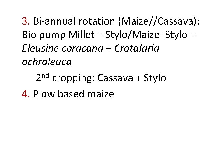 3. Bi-annual rotation (Maize//Cassava): Bio pump Millet + Stylo/Maize+Stylo + Eleusine coracana + Crotalaria