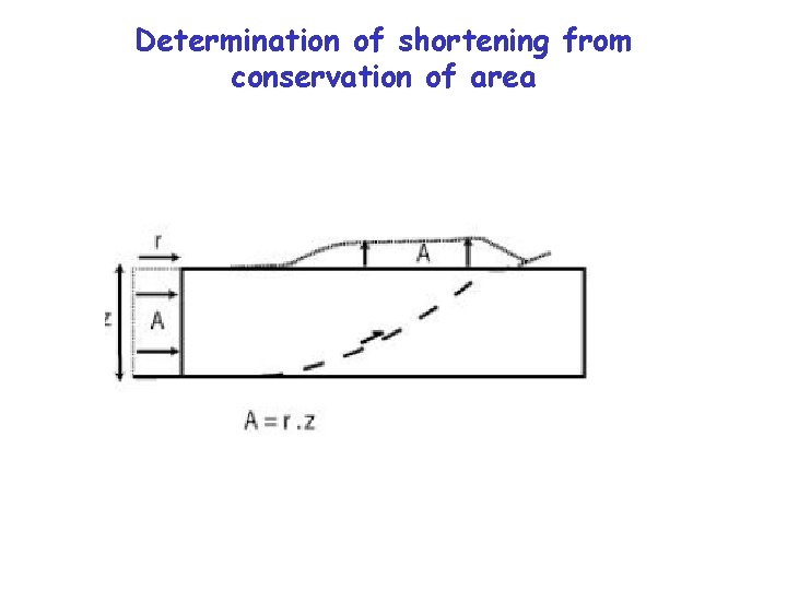 Determination of shortening from conservation of area 