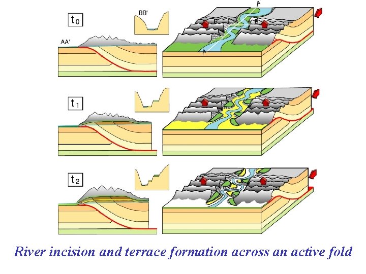 River incision and terrace formation across an active fold 