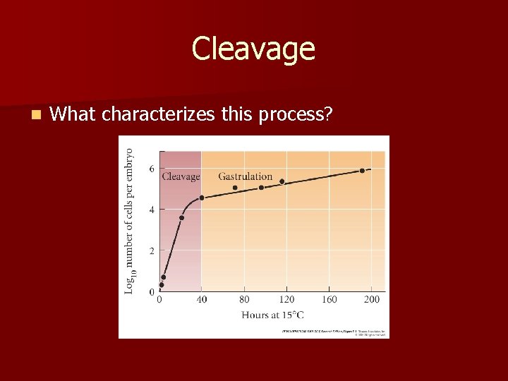 Cleavage n What characterizes this process? 