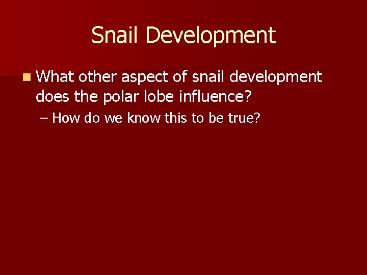 Snail Development n What other aspect of snail development does the polar lobe influence?