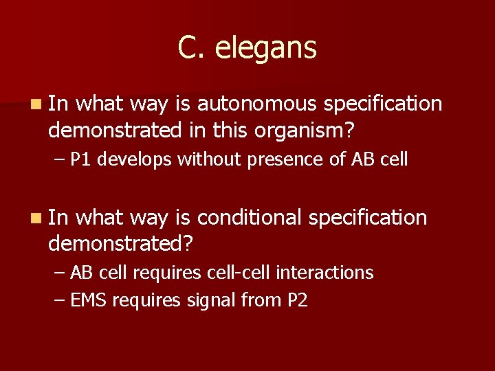 C. elegans n In what way is autonomous specification demonstrated in this organism? –