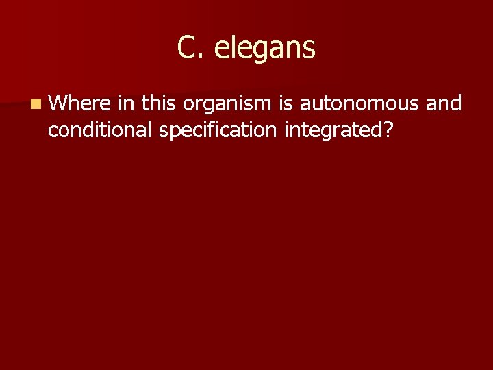 C. elegans n Where in this organism is autonomous and conditional specification integrated? 