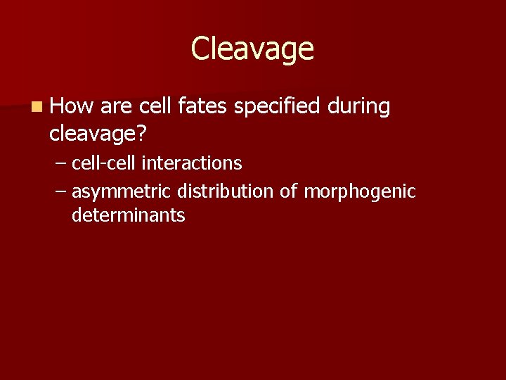 Cleavage n How are cell fates specified during cleavage? – cell-cell interactions – asymmetric