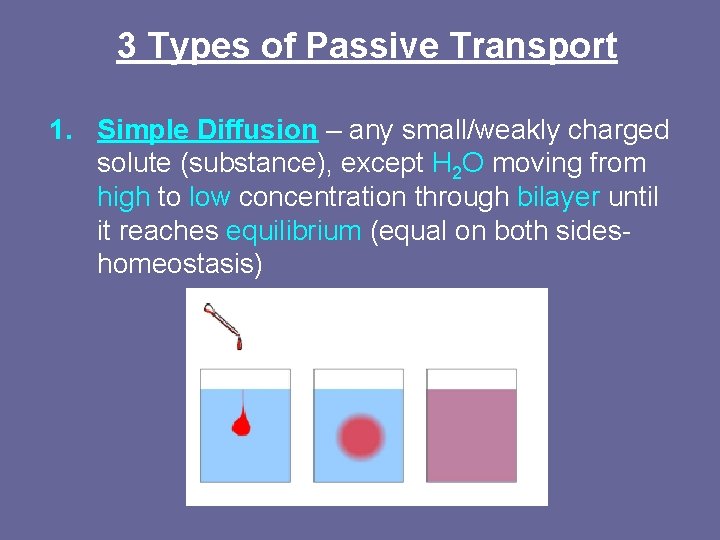 3 Types of Passive Transport 1. Simple Diffusion – any small/weakly charged solute (substance),