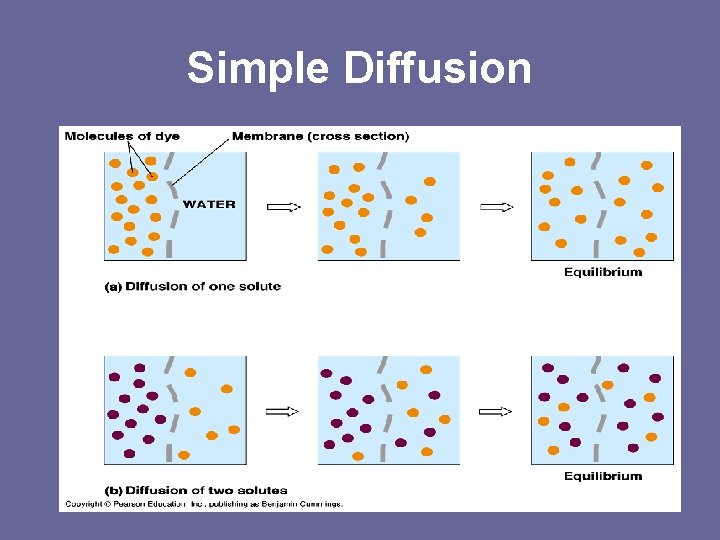 Simple Diffusion 