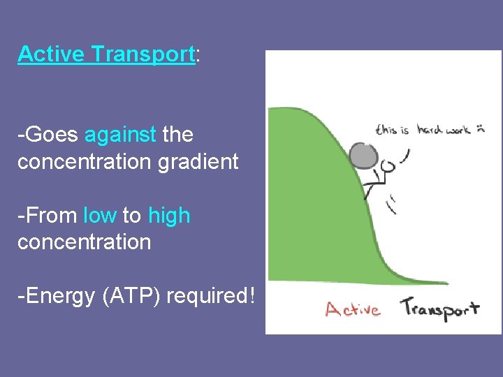 Active Transport: -Goes against the concentration gradient -From low to high concentration -Energy (ATP)