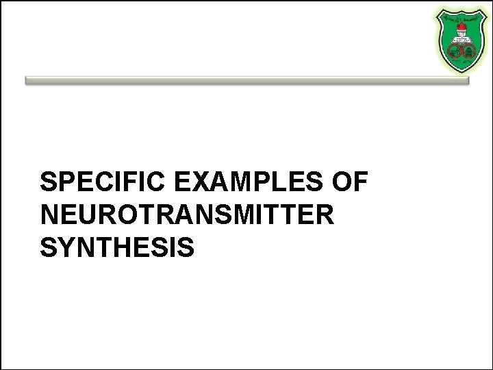 SPECIFIC EXAMPLES OF NEUROTRANSMITTER SYNTHESIS 