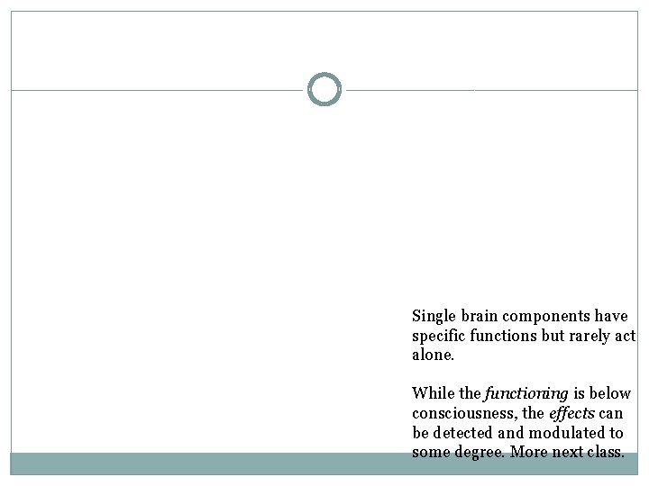Single brain components have specific functions but rarely act alone. While the functioning is
