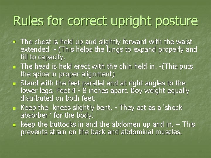 Rules for correct upright posture § The chest is held up and slightly forward