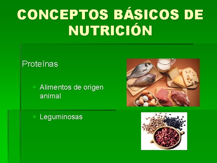 CONCEPTOS BÁSICOS DE NUTRICIÓN Proteínas § Alimentos de origen animal § Leguminosas 