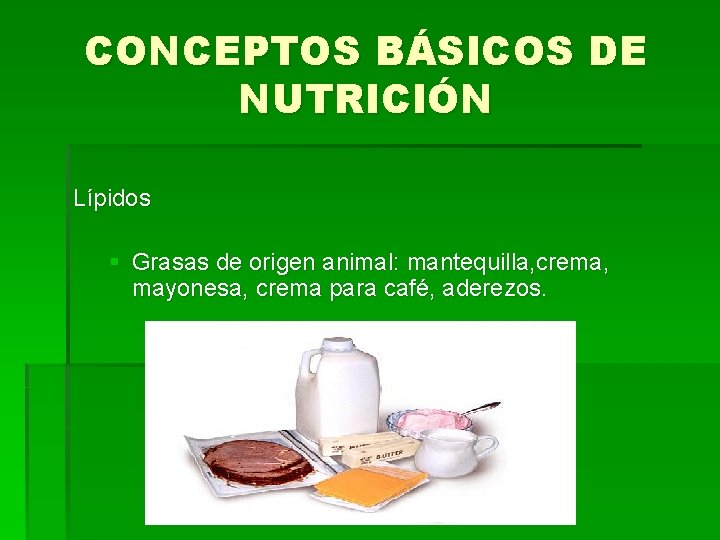 CONCEPTOS BÁSICOS DE NUTRICIÓN Lípidos § Grasas de origen animal: mantequilla, crema, mayonesa, crema