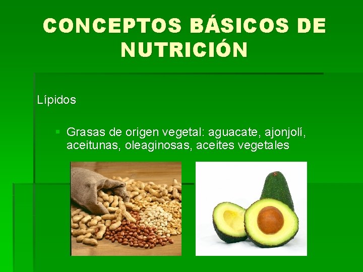 CONCEPTOS BÁSICOS DE NUTRICIÓN Lípidos § Grasas de origen vegetal: aguacate, ajonjolí, aceitunas, oleaginosas,