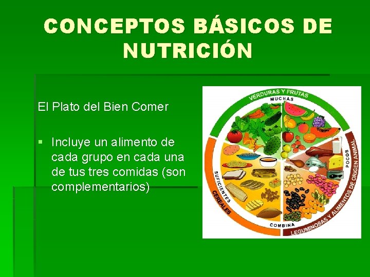 CONCEPTOS BÁSICOS DE NUTRICIÓN El Plato del Bien Comer § Incluye un alimento de