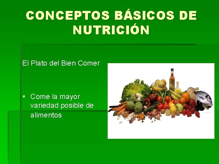 CONCEPTOS BÁSICOS DE NUTRICIÓN El Plato del Bien Comer § Come la mayor variedad