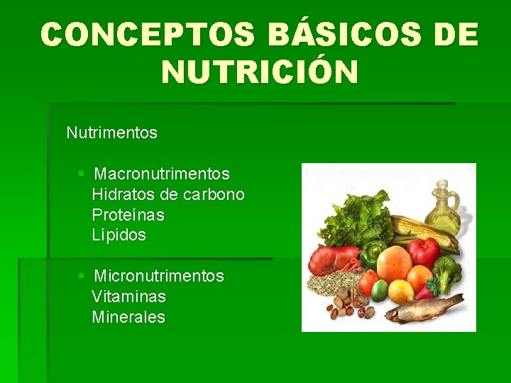 CONCEPTOS BÁSICOS DE NUTRICIÓN Nutrimentos § Macronutrimentos Hidratos de carbono Proteínas Lípidos § Micronutrimentos
