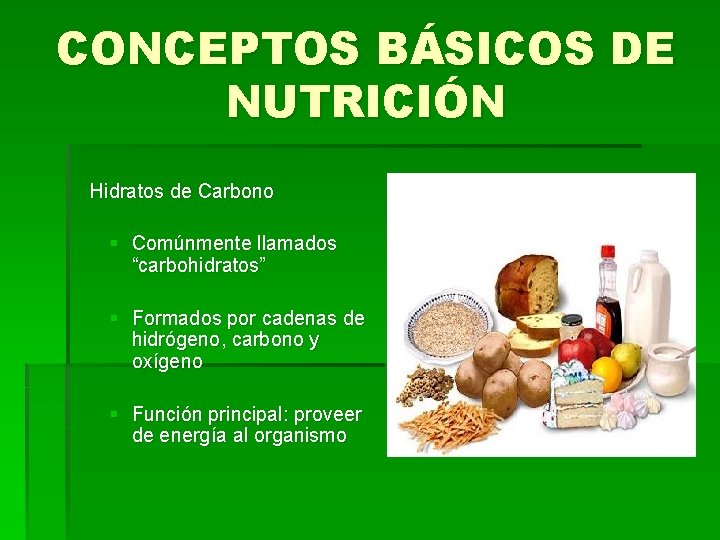 CONCEPTOS BÁSICOS DE NUTRICIÓN Hidratos de Carbono § Comúnmente llamados “carbohidratos” § Formados por